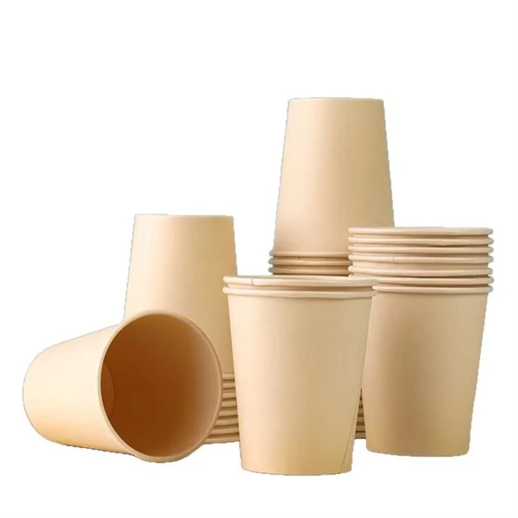 Sustainable Paper Cup